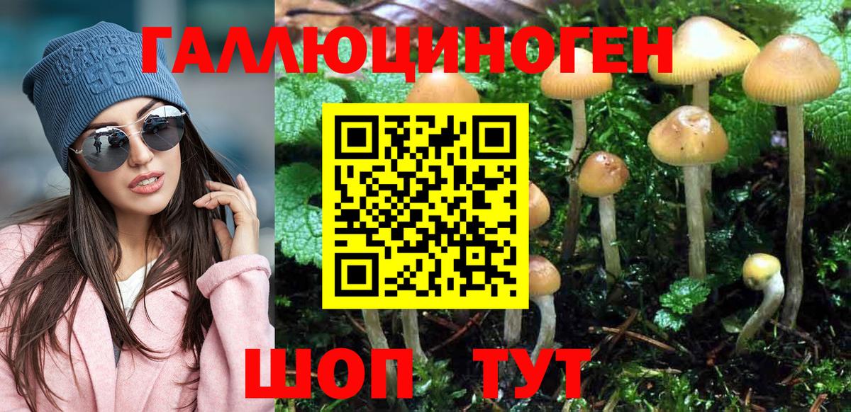 Псилоцибиновые грибы Psilocybe  Вход с VPN  Псилоцибиновые грибы мухоморы  Ишим 
