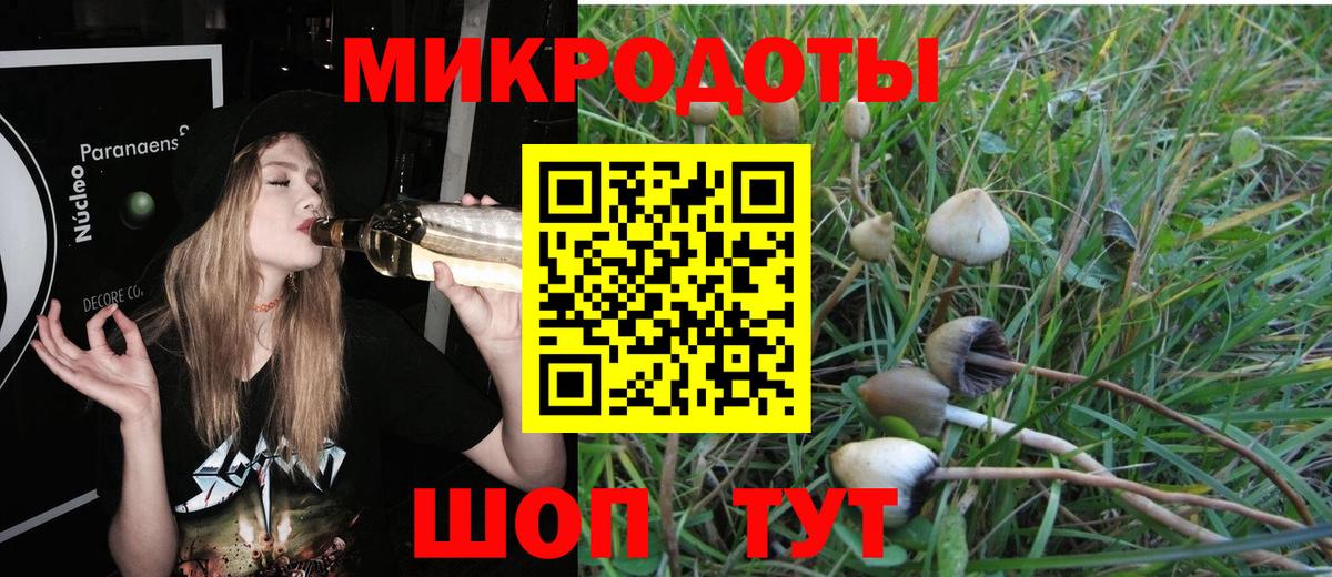 Галлюциногенные грибы мухоморы Ишим